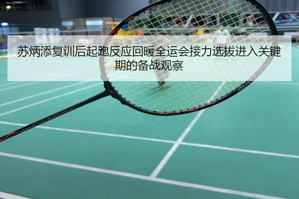 苏炳添复训后起跑反应回暖全运会接力选拔进入关键期的备战观察
