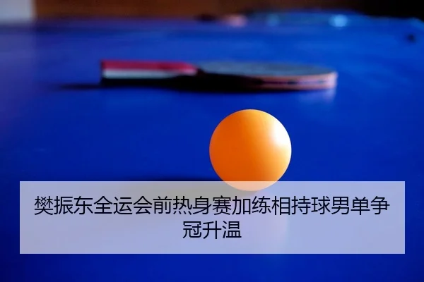 樊振东全运会前热身赛加练相持球男单争冠升温